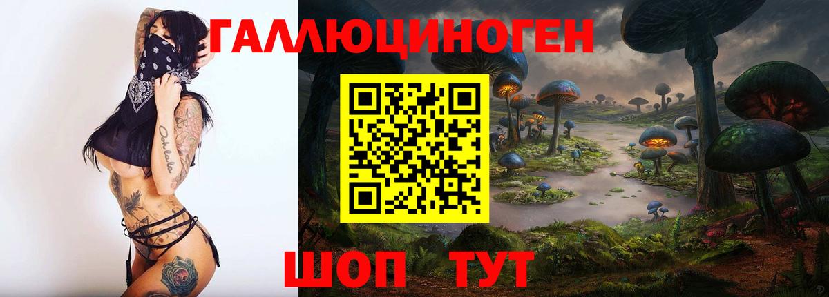 купить наркотик  Псилоцибиновые грибы Psilocybe  Вход с VPN  Гурьевск 